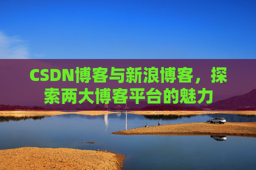 CSDN博客与新浪博客，探索两大博客平台的魅力